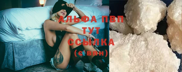 индика Иннополис
