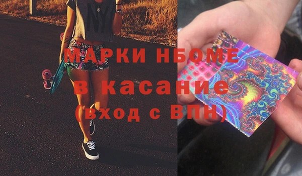 прущий лед Инсар