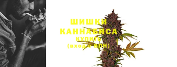 индика Иннополис