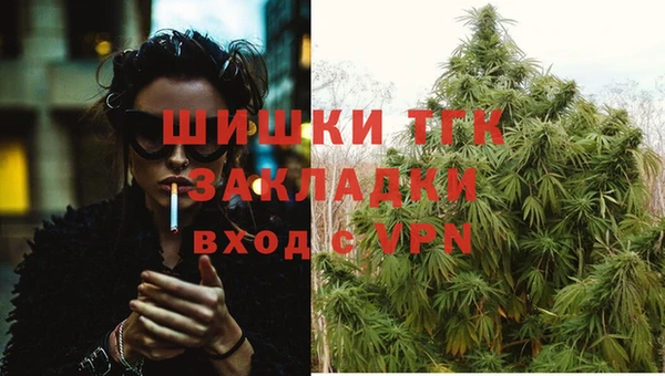 прущий лед Инсар