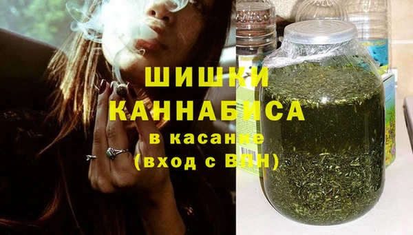 индика Иннополис