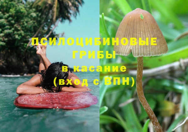 индика Иннополис