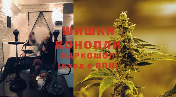 прущий лед Инсар