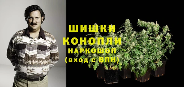 индика Иннополис