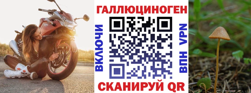 Псилоцибиновые грибы ЛСД  Купить закладки  Зима 