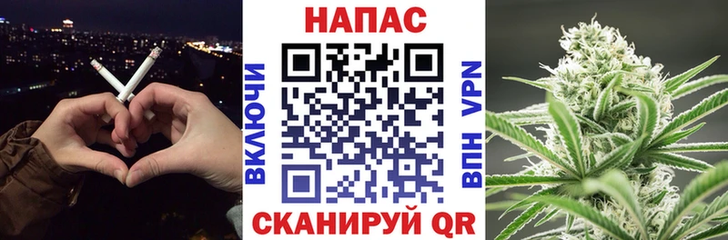 Купить  Зима  Канабис Bruce Banner 